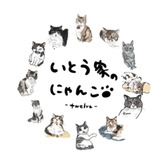 Kichi_20230219021443