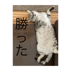 yuto_20230219090525