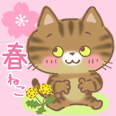 Brown Patched Tabby Cat MIE in Spring