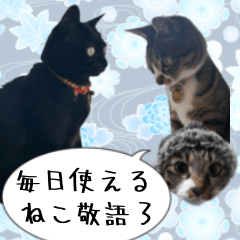 Cat photo Sticker3 -KURO,MIYA,KOO-