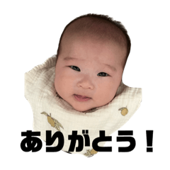 shiho_20230219001019