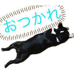 shin_20230219010937