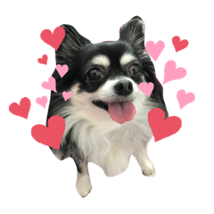 alice_20230219011102