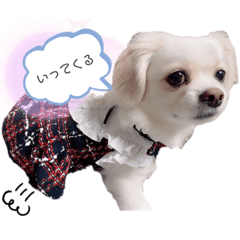 Suzu_20230219010929
