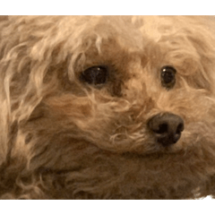 smile_20230219035302