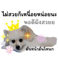 Teenage Ping The Thonburian