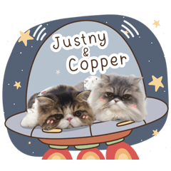 Justny&Copper