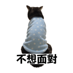 厭世少爺咪