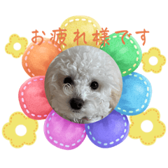 Aoi_20230219174012