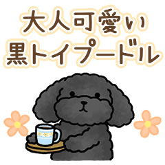 Toy poodle anime every day black