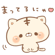 Toranekochan