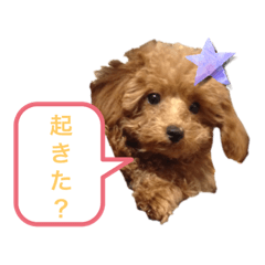hana_20230220092537