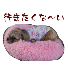misa_20230220101111