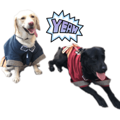 yukari_20230219234157