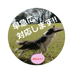 Jchan_20230220112349