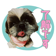 kawaii-aiken