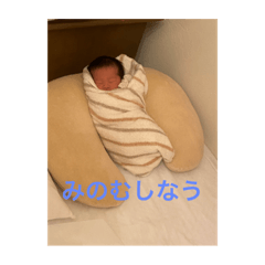 Ayano_20230220144731