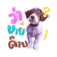 อั่งเปาเองค๊าบ