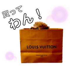 riechi_20230220101904