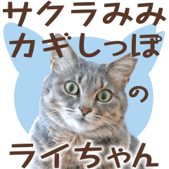 Sticker of a bobtail cat - photo2