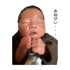 hikari_20230220163839