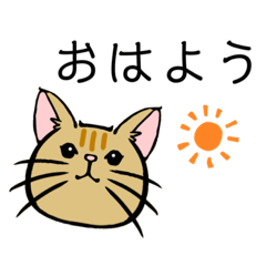 猫の会話(茶トラ①)