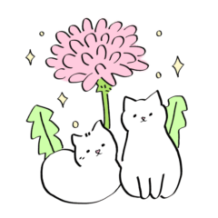 cute white cat flowers