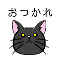 猫の会話(黒猫①)
