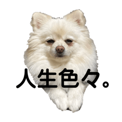 Nao_20230220190829