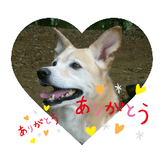 TAROHANA_20230220202825