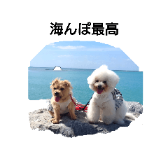 CocoAnnie_20230220221017
