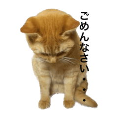 shiho_20230221080739