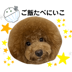 Rio1999_20230220214607