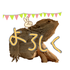 hamcheese_20230220195435