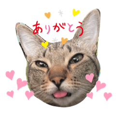 koto_20230221103157