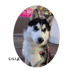 puku_