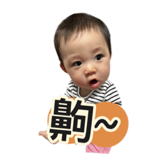 萌弟小齊齊