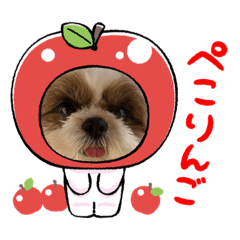 saori_20230221141132