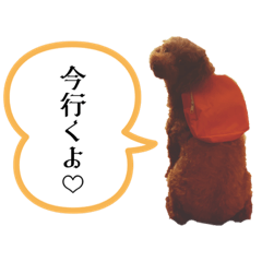 hana_20230222074846