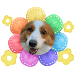 大摳呆日常用語2