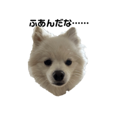 moo_20230221221514