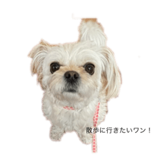 kinaco_20230222010906