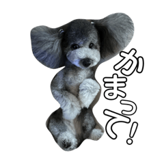LUN_20230221211056