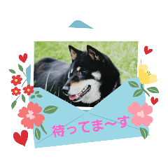 rinrin_20230221205254
