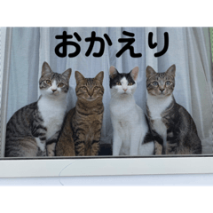 hana_20230221225250