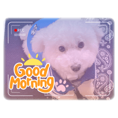 nao_20230221194434