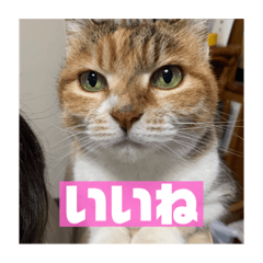 aoi_20230222115514