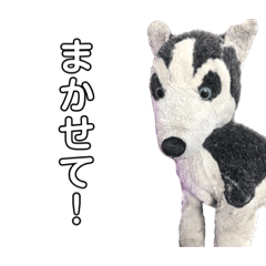 suzu_20230221174810
