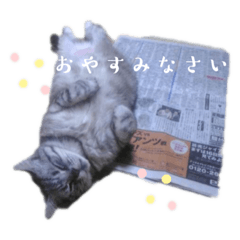 脱力ネコシリーズ　いろんなお返事編