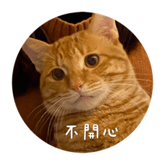 泱泱大寶貝1